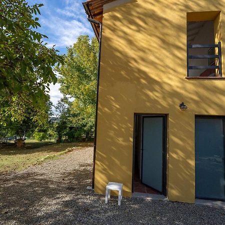 Agriturismo La Valle Peccioli Eksteriør billede