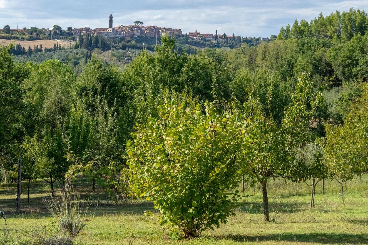 Agriturismo La Valle Peccioli Eksteriør billede